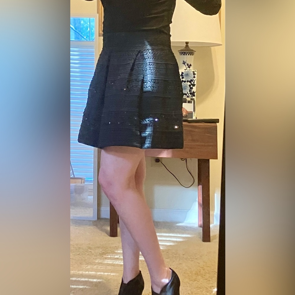 Mini with sequins. Perfect for holiday parties!